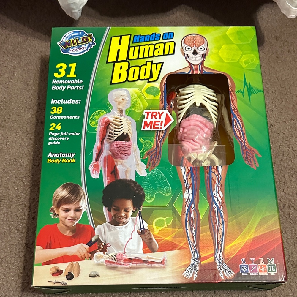 Human Body Educational Toy